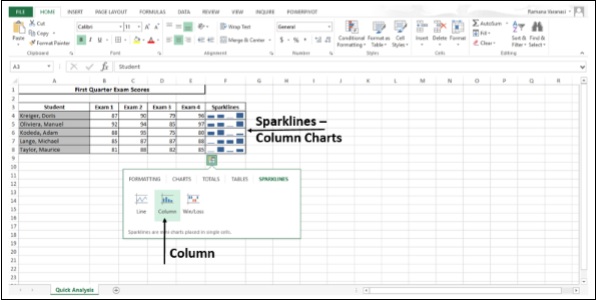 Sparklines Column Chart
