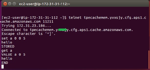 Access Memcache Cluster 6.jpg 