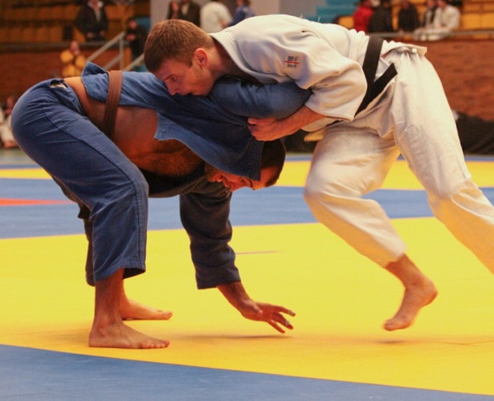 brazilian jiu jitsu moves