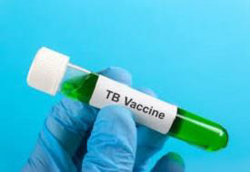 TB Vaccines