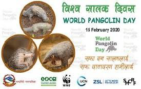 World Pangolin day
