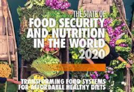 Food Security and Nutrition Report