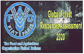 Global Forest Resources Assessment