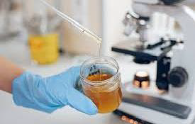 Honey Testing Lab