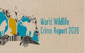World Wildlife Crime Report