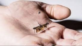 Wireless Insect-sized Drone