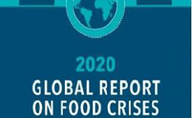 Global Report on Food Crises