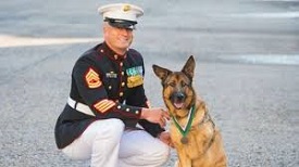 Dog Awarded Medal
