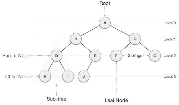 Data Structure and Algorithms - Tree | PadaKuu.com