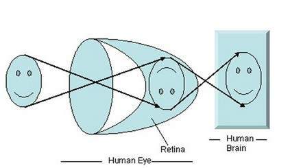 Eye image formation