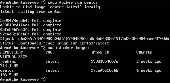 docker run image example