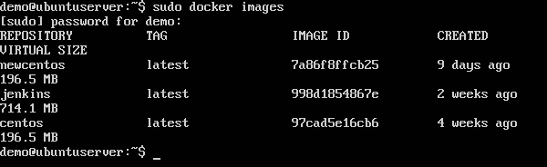 Displaying Docker Images