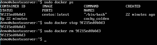 docker remove container name