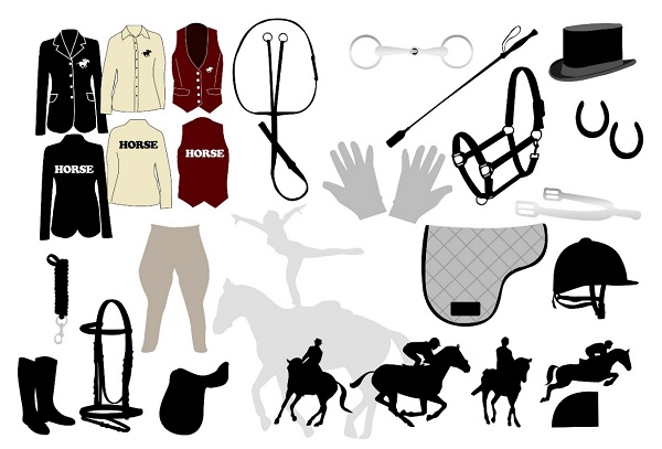 horseback riding equipment