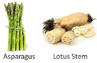 Stem Vegetables