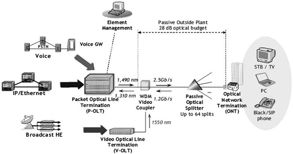 Gigabit Passive Optical Networks