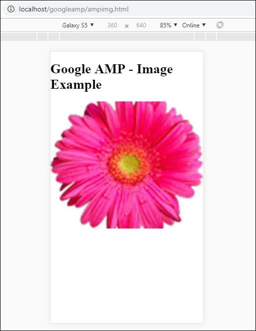 AMP Img Executed