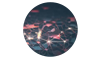 Learn Artificial Neural Network