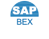 Learn SAP Bex