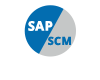 Learn SAP SCM