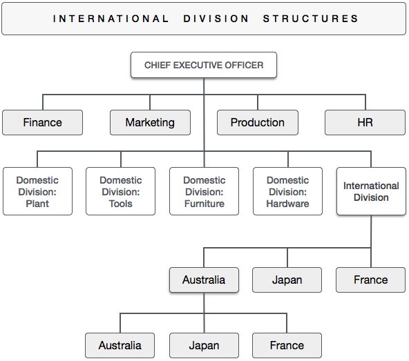 International Division Structure