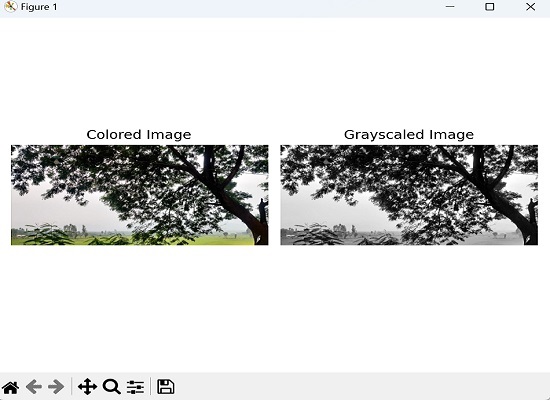 Color Grayscale image