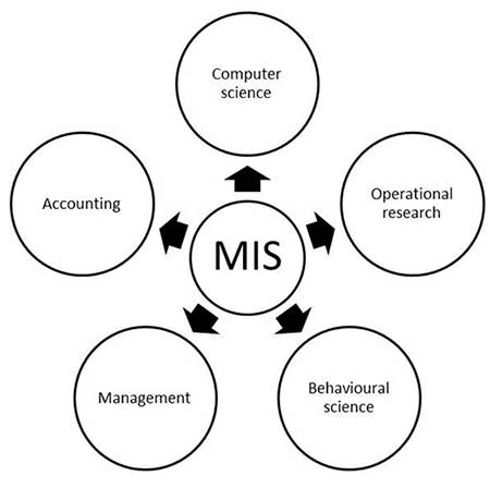 research areas in management information systems