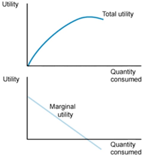 Marginal Utility Analysis
