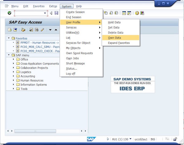 how to use sap software