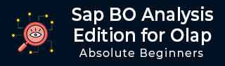 SAP BO Analysis Tutorial