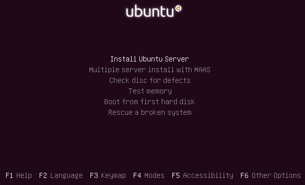 Choose Option to Install Ubuntu