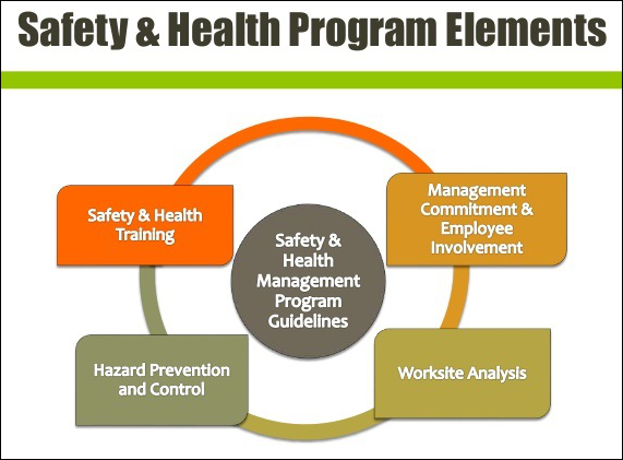employees health and safety programs case study